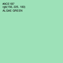 #9CE1B7 - Algae Green Color Image